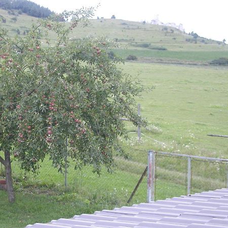 ホテル Penzion Drevenik Spišské Podhradie エクステリア 写真